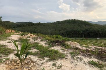 [FACING MAIN ROAD] Palm Oil Land, Triang Ilir, Jelebu, Negeri Sembilan For Sale