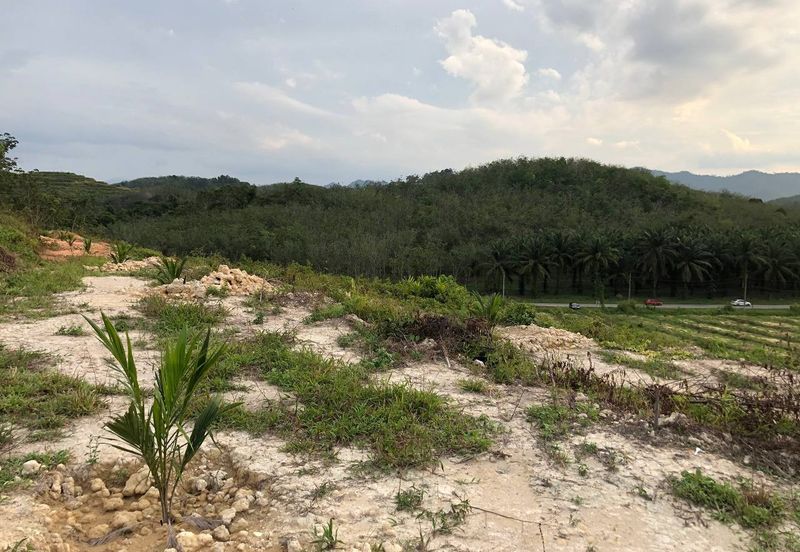 [FACING MAIN ROAD] Palm Oil Land, Triang Ilir, Jelebu, Negeri Sembilan For Sale