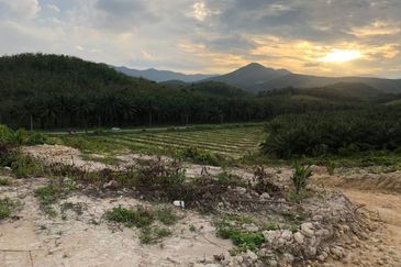 [FACING MAIN ROAD] Palm Oil Land, Triang Ilir, Jelebu, Negeri Sembilan For Sale