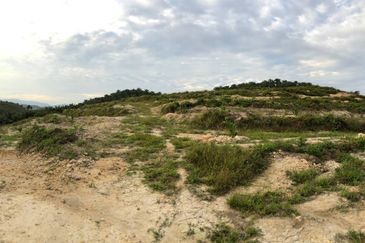 [FACING MAIN ROAD] Palm Oil Land, Triang Ilir, Jelebu, Negeri Sembilan For Sale