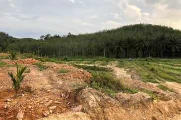 [FACING MAIN ROAD] Palm Oil Land, Triang Ilir, Jelebu, Negeri Sembilan For Sale