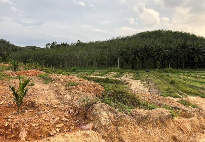 [FACING MAIN ROAD] Palm Oil Land, Triang Ilir, Jelebu, Negeri Sembilan For Sale