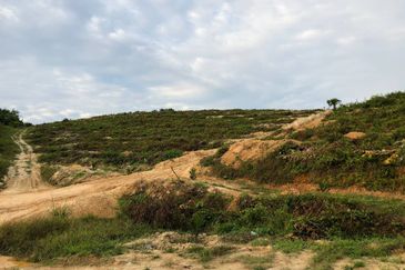 [FACING MAIN ROAD] Palm Oil Land, Triang Ilir, Jelebu, Negeri Sembilan For Sale