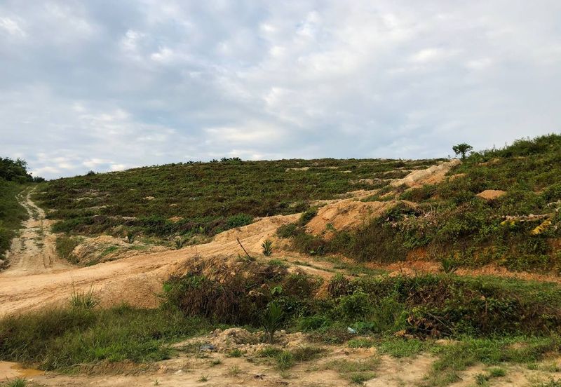 [FACING MAIN ROAD] Palm Oil Land, Triang Ilir, Jelebu, Negeri Sembilan For Sale