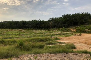 [FACING MAIN ROAD] Palm Oil Land, Triang Ilir, Jelebu, Negeri Sembilan For Sale