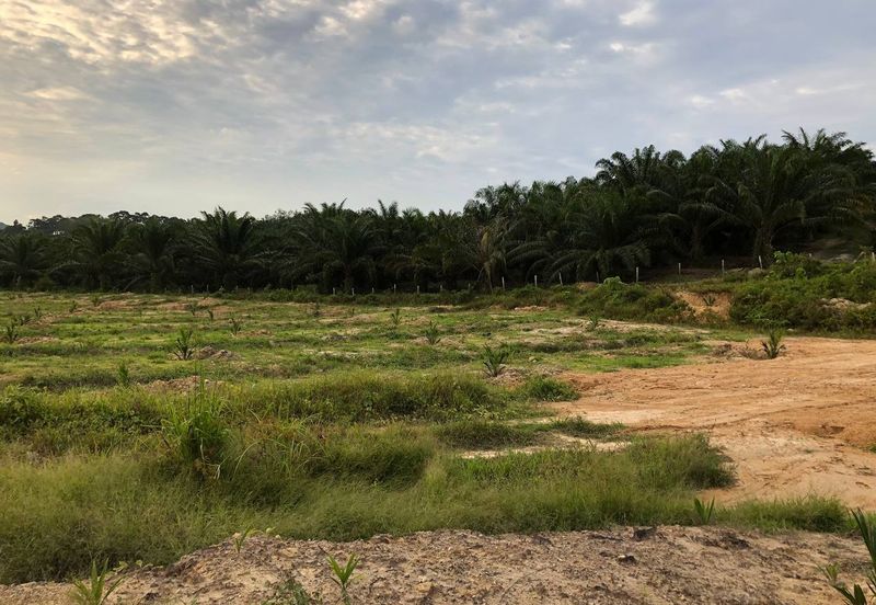 [FACING MAIN ROAD] Palm Oil Land, Triang Ilir, Jelebu, Negeri Sembilan For Sale