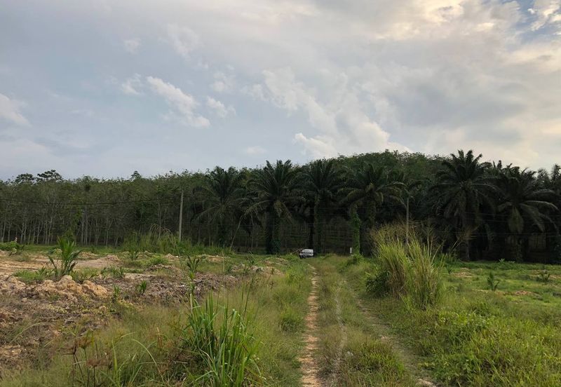 [FACING MAIN ROAD] Palm Oil Land, Triang Ilir, Jelebu, Negeri Sembilan For Sale
