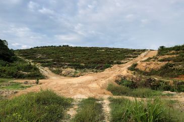 [FACING MAIN ROAD] Palm Oil Land, Triang Ilir, Jelebu, Negeri Sembilan For Sale