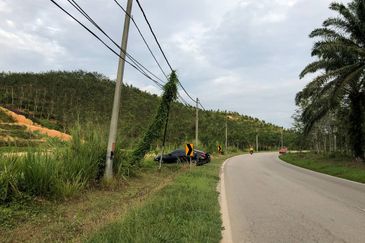 [FACING MAIN ROAD] Palm Oil Land, Triang Ilir, Jelebu, Negeri Sembilan For Sale