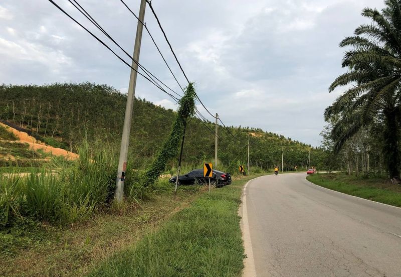 [FACING MAIN ROAD] Palm Oil Land, Triang Ilir, Jelebu, Negeri Sembilan For Sale