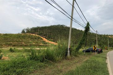 [FACING MAIN ROAD] Palm Oil Land, Triang Ilir, Jelebu, Negeri Sembilan For Sale