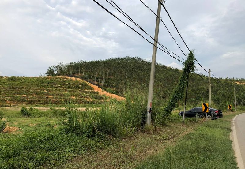 [FACING MAIN ROAD] Palm Oil Land, Triang Ilir, Jelebu, Negeri Sembilan For Sale
