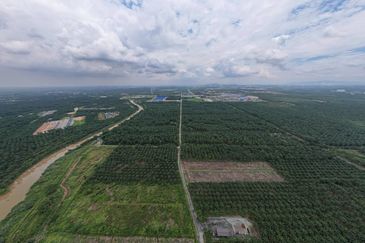 Development Land Tanjong Dua Belas, Kuala Langat, Selangor For Sale