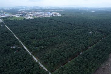 Development Land Tanjong Dua Belas, Kuala Langat, Selangor For Sale