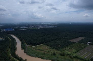 Development Land Tanjong Dua Belas, Kuala Langat, Selangor For Sale