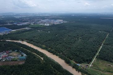 Development Land Tanjong Dua Belas, Kuala Langat, Selangor For Sale