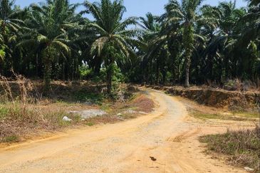 Residential Potential Development Land Gadong Jaya, Labu, Negeri Sembilan For Sale