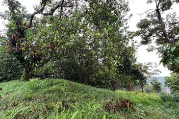 Bandar Baru Salak Tinggi