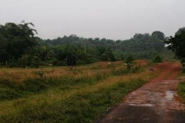 Palm Oil Land Guar Jering, Bukit Mertajam For Sale