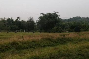 Palm Oil Land Guar Jering, Bukit Mertajam For Sale