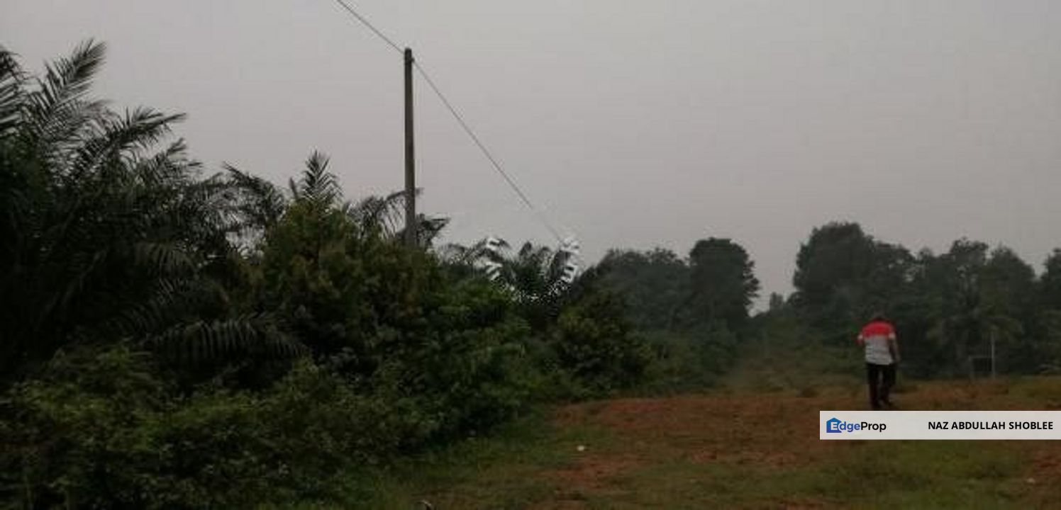 Palm Oil Land Guar Jering, Bukit Mertajam For Sale, Penang, Bukit Mertajam