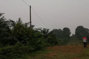 Palm Oil Land Guar Jering, Bukit Mertajam For Sale