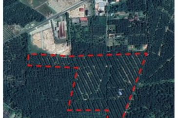 Palm Oil Land Bukit Pelanduk, Port Dickson, Negeri Sembilan For Sale