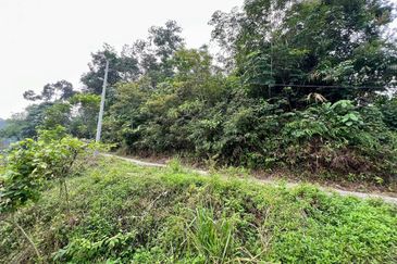 Agricalture Land Sungai Buloh, Selangor For Sale