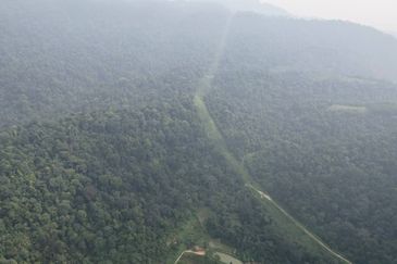 Agricalture Land Sungai Buloh, Selangor For Sale