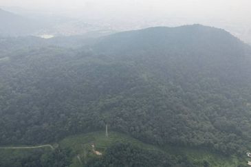 Agricalture Land Sungai Buloh, Selangor For Sale