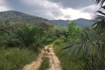 Residential Potential Development Land Labu Paroi, Seremban For Sale