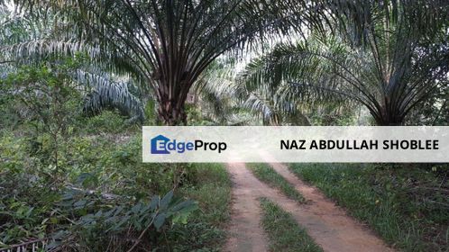 Palm Oil Land Gadong, Sendayan For Sale, Negeri Sembilan, Seremban