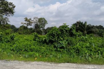 Kampung Bukit Lanchung