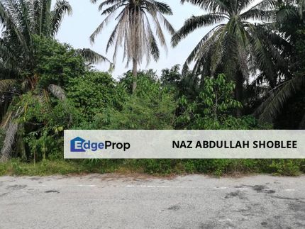 Residential Potential Development Land Jenderam, Dengkil For Sale, Selangor, Dengkil