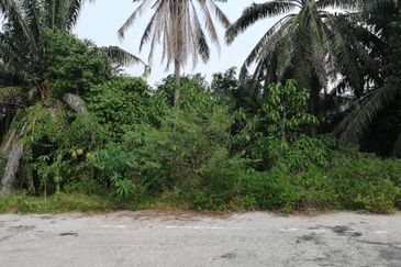 Residential Potential Development Land Jenderam, Dengkil For Sale