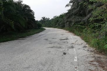 Residential Potential Development Land Jenderam, Dengkil For Sale