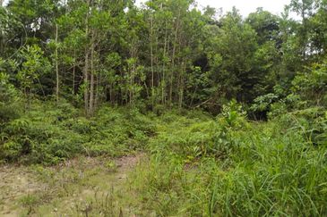 Jalan Temiang-Pantai