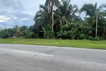 [FRONTING ROAD] Agriculture Land Jalan Sungai Buaya, Kuala Langat For Sale