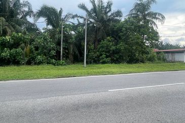 [FRONTING ROAD] Agriculture Land Jalan Sungai Buaya, Kuala Langat For Sale