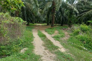[FRONTING LEBUH AMJ] Potential Development Land Jasin, Melaka For Sale