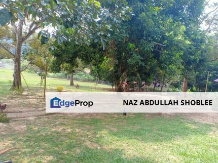 Durian Orchard Jalan Bukit Cerakah, Seksyen U15, Shah Alam For Sale, Selangor, Shah Alam