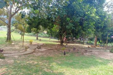 Jalan Bukit Cherakah