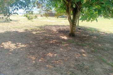 Jalan Bukit Cherakah