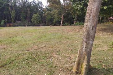 Jalan Bukit Cherakah