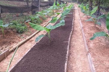 Jalan Bukit Cherakah