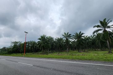 [FACING MAIN ROAD] Palm Oil Plantation Land Sepang, Selangor For Sale