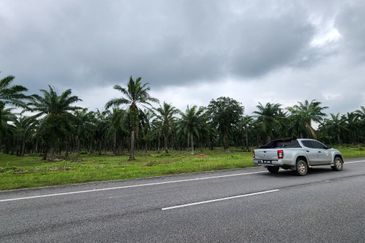 [FACING MAIN ROAD] Palm Oil Plantation Land Sepang, Selangor For Sale