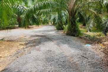 Jalan Bukit Cherakah