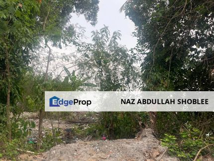 [PENANG BRIDE AND SEAVIEW] Development Land Batu Maung, Pulau Pinang For Sale, Penang, Bayan Lepas