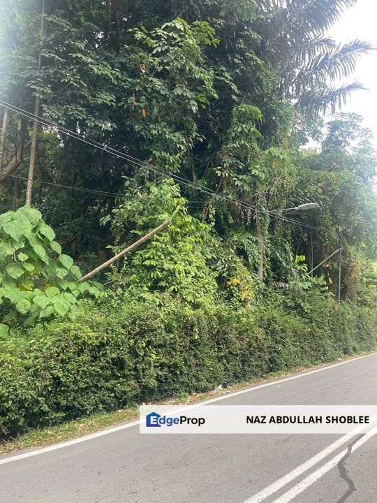 [PENANG BRIDE AND SEAVIEW] Development Land Batu Maung, Pulau Pinang For Sale, Penang, Bayan Lepas